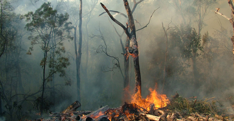 Ntense wildfires continue to devastate parts of Greece and Italy