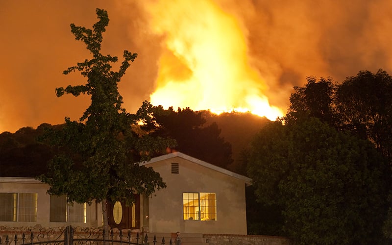 Ntense wildfires continue to devastate parts of Greece and Italy