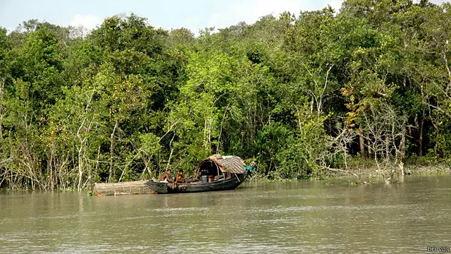 সুন্দরবনের ভারতীয় অংশে ১১ জন বাংলাদেশি  গ্রেপ্তার