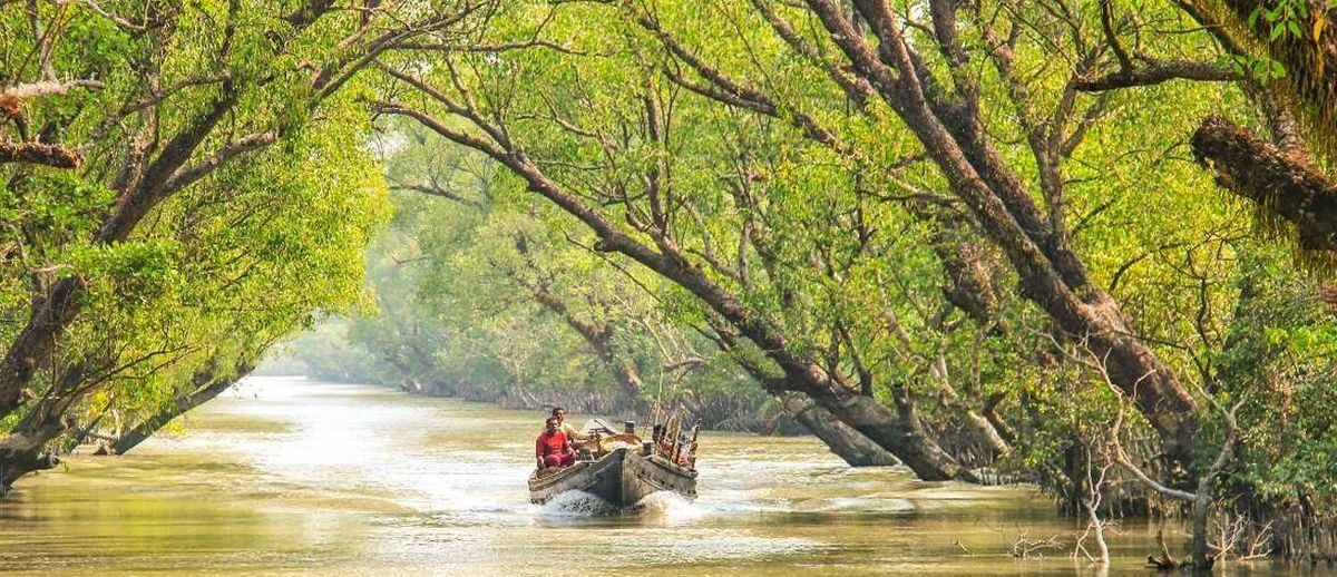 সুন্দরবনের ভারতীয় অংশে ১১ জন বাংলাদেশি গ্রেপ্তার