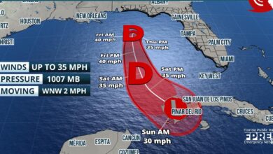 Heavy Rain and Flooding Threaten Florida as Gulf Storm Develops